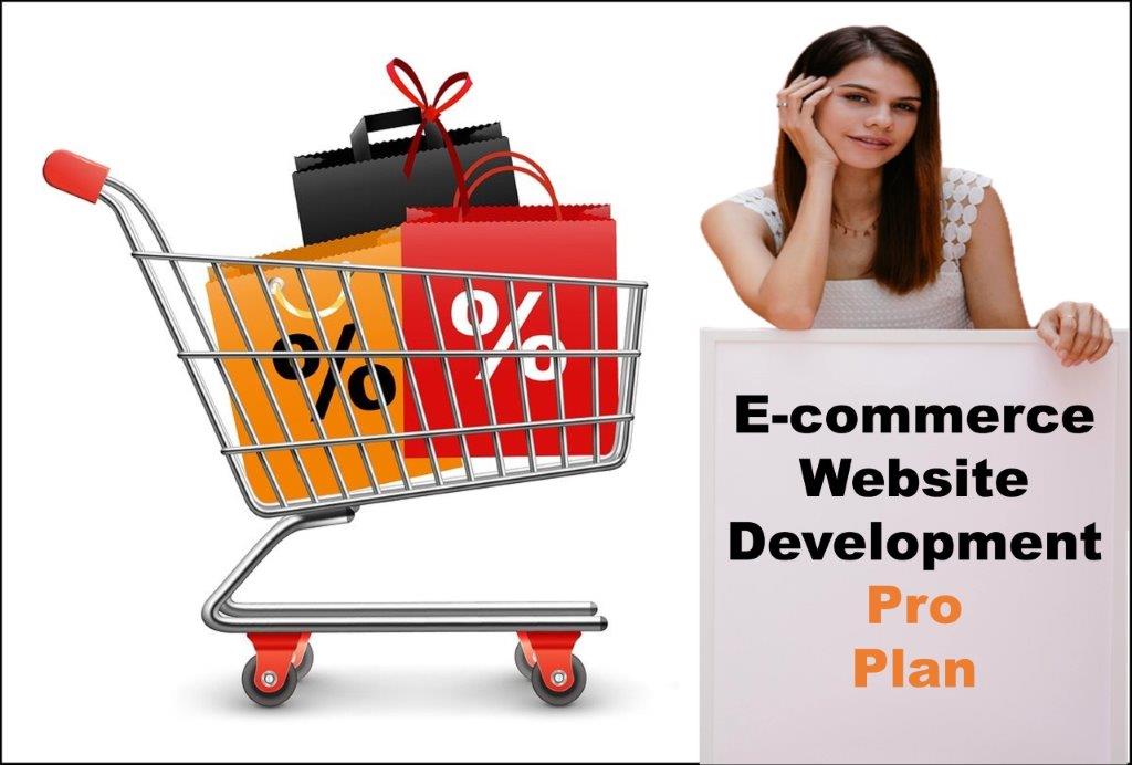 professional ecommerce website development agency in Cheyenne Wyoming