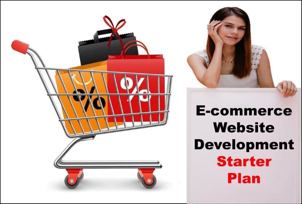 E-Commerce Website Development in Cheyenne Wyoming