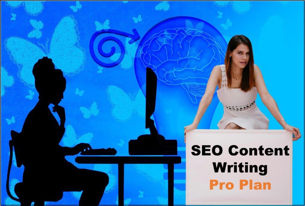 seo content writing agency Cheyenne Wyoming