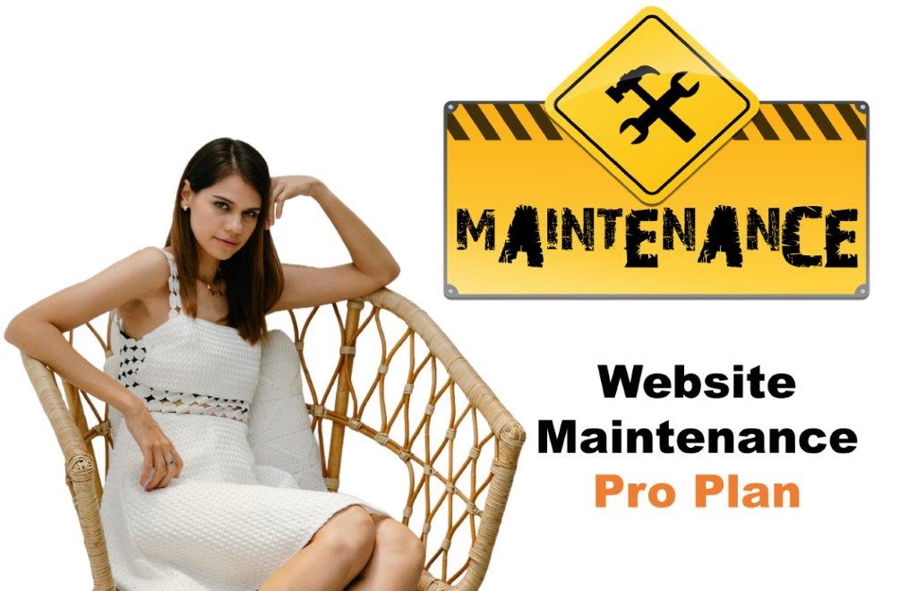 website maintenance agency in Cheyenne Wyoming