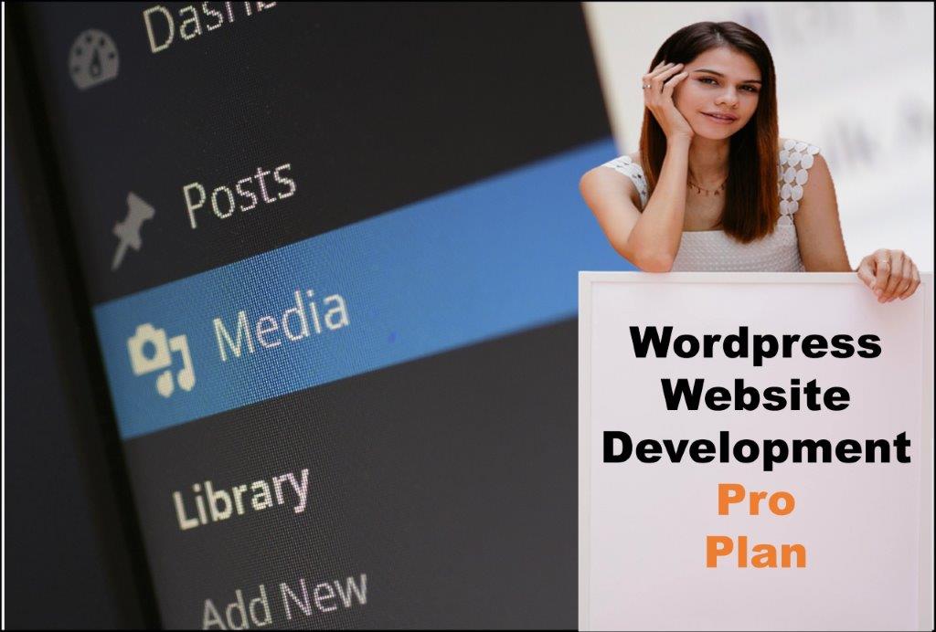 wordpress website designing in Cheyenne Wyoming